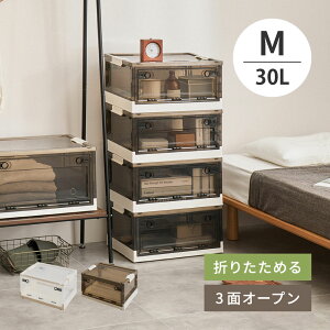 �L���X�^�[�t�� ���[�{�b�N�X PS100 M�T�C�Y 30L ��49.5cm ���s��35.5cm ����23.5cm �P�i �Z�b�g�̔� 3�ʃI�[�v�� �X���C�h���b�N �X�^�b�L���O �d�˒u�� �܂��� �ߑ��P�[�X �ߗގ��[ �����h���[��