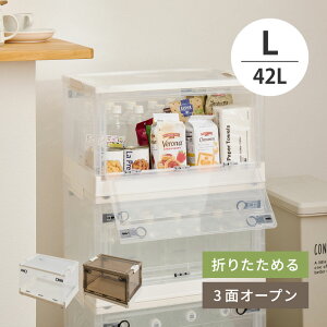 ���[�{�b�N�X PS100 L�T�C�Y 42L ��53.5cm ���s��36cm ����30cm �P�i �Z�b�g�̔� �L���X�^�[�t�� 3�ʃI�[�v�� �X���C�h���b�N �X�^�b�L���O �d�˒u�� �܂��� �ߑ��P�[�X �ߗގ��[ �����h���[���b