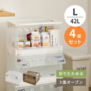 �y4�Z�b�g�z���[�{�b�N�X PS100 L�T�C�Y 42L ��53.5cm ���s��36cm ����30cm �P�i �Z�b�g�̔� �L���X�^�[�t�� 3�ʃI�[�v�� �X���C�h���b�N �X�^�b�L���O �d�˒u�� �܂��� �ߑ��P�[�X �ߗގ��[ ��