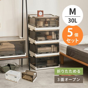 �y5�Z�b�g�z�L���X�^�[�t�� ���[�{�b�N�X PS100 M�T�C�Y 30L ��49.5cm ���s��35.5cm ����23.5cm �P�i �Z�b�g�̔� 3�ʃI�[�v�� �X���C�h���b�N �X�^�b�L���O �d�˒u�� �܂��� �ߑ��P�[�X �ߗގ��[ 