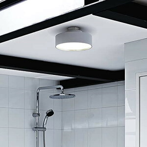 A[g[NX^WI O[ ARTWORKSTUDIO Glow mini LED-ceiling lampO[~jLEDV[Ov AW-0578 ^V[OCg  Vv ~jV[OCg _ Ɩ  rO