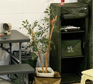 XE[ nK[bN ROOL-UP SHELFRACK Derek L I[u ߗރbN |GXe SLW239 SLW240SLOWER XE[ CeA nK[bN Lv sNjbN AEghA VFtbN 