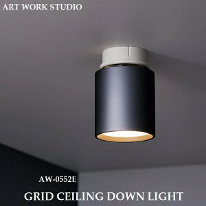 ARTWORKSTUDIOAW-0552@Grid-ceiling down light ObhV[O_ECg LEDd_ECg 100WLEDd  F2iK؂ւ |V[Ot  tȒP artworkstudio