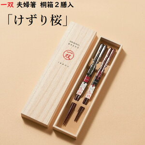 y o vwz "" ˔2V j MtgZbg v[g 蕨 yA Mtg Ԃ ̓ pI  ̓ a  e  ߂Ɣ N ސEj ዷ