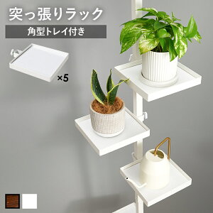 fBXvCbN ˂[ [I |[bN [bN ˂_p[c@6_Zbgip^j@KTR-3117