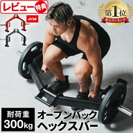 【楽天1位】ヘックスバー ブラック/パッションレッドDNSコラボ LE-HB100/DNS-HB100 リーディングエッジ L…