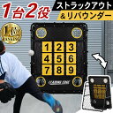 【楽天1位】 野球 練習 投球ネット 9ゾーン ネット 130×100cm 投球練習ネット ストラックアウト 投手 ピッチャー ピ…