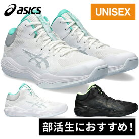 アシックス asics メンズ レディース バスケットボールシューズ ノヴァ フロー 2 NOVA FLOW 2 1063A071