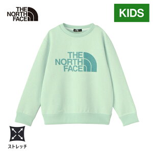 UEm[XEtFCX m[XtFCX LbY g[i[ JCYXEFbgN[ Colorise Sweat Crew y[O[ NTJ12471 PN