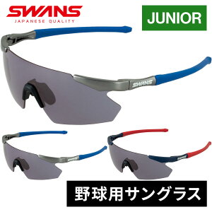 ʌ萶Y Z[sale 25`29OFF XY SWANS LbY X|[cTOX KEBO tbNX GX GULLWING-FLEX S GUFS-0018