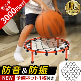 【楽天1位】 ドリブル練習 バスケ ドリブルネット 静音 防音 防振 室内練習 コンパクト 組立簡単 バスケットボール サイレントドリブル ドリブル バウンドネット リバウンドネット