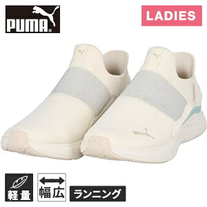 v[} PUMA fB[X jOV[Y \tgCh n[j[ C[YC GL AC{[/A[h 311999 03