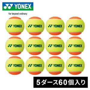 lbNX YONEX ejX{[ 5_[X60 IW TMP30BOX 005
