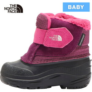 UEm[XEtFCX m[XtFCX xr[ u[c gh[ Ay O[ II T Alpenglow II {CZx[×TNFubN NFB02470 BK