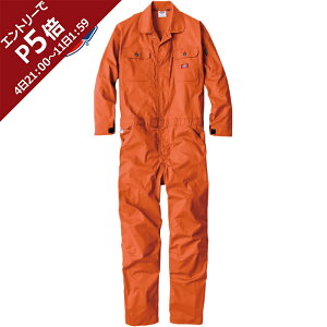 fBbL[Y Dickies Y fB[X Xgb`CVCciM IW D-746