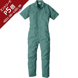 fBbL[Y Dickies Y fB[X Xgb`CVCciM O[ D-749