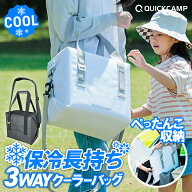 クーラーボックス ソフトクーラーバッグ 保冷バッグ 保冷力 最強 19L 極厚断熱材 コンパクト収納 熱中症…