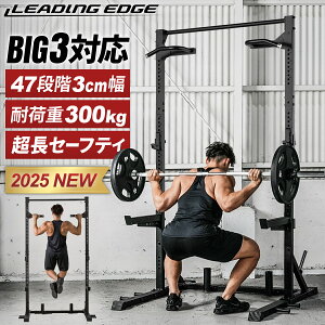 n[tbN iK y47iK×3cm̍ | 44cm̃Z[teBo[ ω׏d300kgz 㔼g ؓ d  fBbvX  `jO dg[jO ؃g g[j