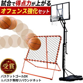 リーディングエッジ LEADING EDGE バスケットゴールDX LE-BS305DX ＆ バスケットボールリバウンダー 高さ最大117cm リバウンドネット LES-BSRB 計2点セット ★着後レビューでバスケットボールプレゼント★
