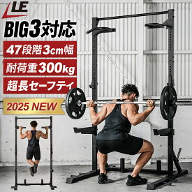 10%OFFクーポン 6/4〜6/11 ハーフラック 多段階高さ調整 【47段階×3cmの高さ調整 | 44cmのセーフティバー 耐荷重300kg】 上半身 筋肉強化 高重量 高負荷 ディップス 懸垂 チンニング 自重トレーニング 筋トレ トレーニング ホームジム [1年保証] TR0604