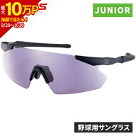 【最大2,000円OFFクーポン 9/3〜9/15】 【ボーイズリーグ及びヤングリーグ公認】 スワンズ SWANS ガルウ…