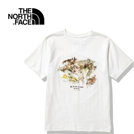 ザ・ノース・フェイス ノースフェイス レディース 半袖Tシャツ ショートスリーブウォールズティー S/S Walls Tee イワゴヤ NTW12211 IY