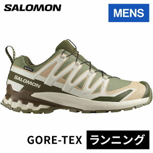 �T������ SALOMON �����Y �g���C�������j���O�V���[�Y �G�b�N�X�G�[ �v�� 3D V9 �S�A�e�b�N�X XA PRO 3D V9 GTX