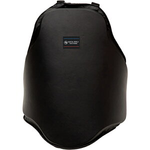 �}�[�V�������[���h MARTIAL WORLD ��� �h�� �v���d�l�R�[�`���O�v���e�N�^�[ �� CM148