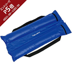 [kCEEzs]g[GCCg TOEI LIGHT TbJ[S[ ThEFCgS10 B-2450