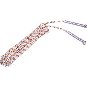 [kCEEzs]g[GCCg TOEI LIGHT ȂƂ NS-15M B2276