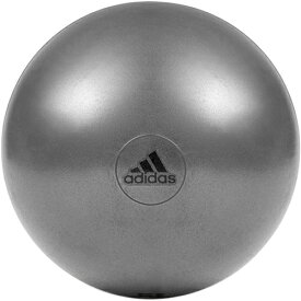 アディダス adidas バランスボール ジムボール 65cm グレー ADBL-11246 GR