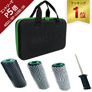 yyV1ʁz Z[sale 11OFF KE Xm[{[h guVZbg GALLIUM IWiZ~n[hc[P[X 000147