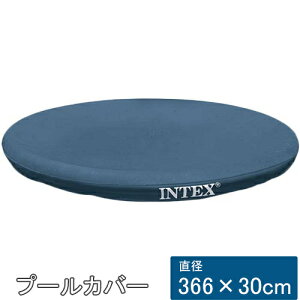 CebNX INTEX C[W[Zbgv[Jo[ 366×30cm 28130p 28022