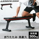 リーディングエッジ フォールディング フラットベンチ 折りたたみ ダンベル用ベンチ トレーニング器具 LE-FFB2 RD