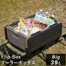 フリップボックス Flip-Box ビッグ 折りたたみ クーラーボックス 大型 ブラック FB-big BK