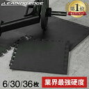 【楽天1位】エクササイズマット EVA 硬質 ジョイントマット ジムマット 50cm 厚み1.0cm 硬度80 6枚/30枚/36枚 LE-GMT8…