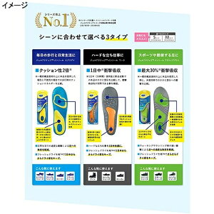 hN^[V[ DrDScholl C\[ WFANeBu [N Si22.5-26.0cmΉj E517545H