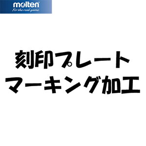 e molten v[gl[ PNAME