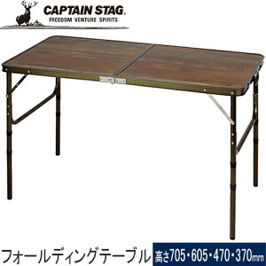 LveX^bO CAPTAIN STAG rXgtH[fBOe[u 4iKߕt 120×60 UC-0571