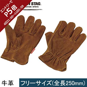 LveX^bO CAPTAIN STAG Rp U[O[u M-5560