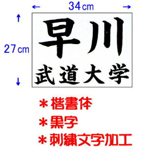 N KUSAKURA Y p _[bP hJH 34×27cm  JT53427KA B