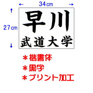 N KUSAKURA Y p _[bP vgH 34×27cm  JT63427KA B _vg[bP