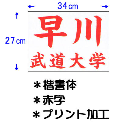 85％以上節約九櫻 KUSAKURA レディース 公式試合用 柔道ゼッケン プリント加工 34×27cm 赤 JT63427KA R