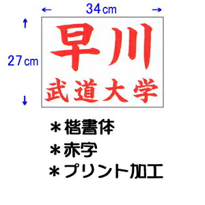 N KUSAKURA fB[X p _[bP vgH 34×27cm  JT63427KA R