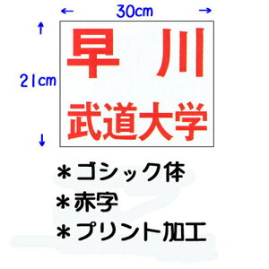 N KUSAKURA LbY p _[bP vgH wp 30×21cm  JT63021GO R