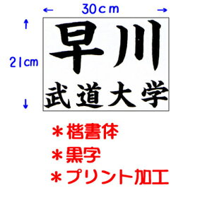 N KUSAKURA LbY p _[bP vgH wp 30×21cm  JT63021KA B