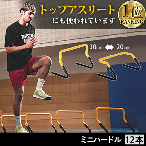 yyV1ʁz ~jn[h [P[Xt 6{Zbg 12{Zbg g[jO ESTH-030 ^ѕ֗  TbJ[ oXP tbgT 싅 ejX K q \tg y  qǂ [