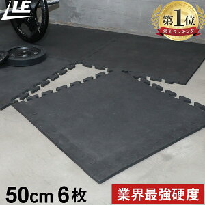 �y�y�V1�ʁz�G�N�T�T�C�Y�}�b�g EVA �d�� �W���C���g�}�b�g �W���}�b�g 50cm ����1.0cm �d�x80 6�� LE-GMT80 ���[�f�B���O�G�b�W LEADING EDGE �唻 ���� �W���C���g �g���[�j���O�}�b�g �g���[�j���O 
