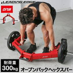 LEADING EDGE リーディングエッジ DNSコラボ 限定カラー バーベル ヘックスバー パッションレッド（DNSコラボ） DNS-HB100 RED