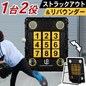 LEADING EDGE [fBOGbW ^[Qbglbg oE_[ 싅 K ߋ  CM[ sb`O lbg g[jO N q 12kg YCSP-BB02